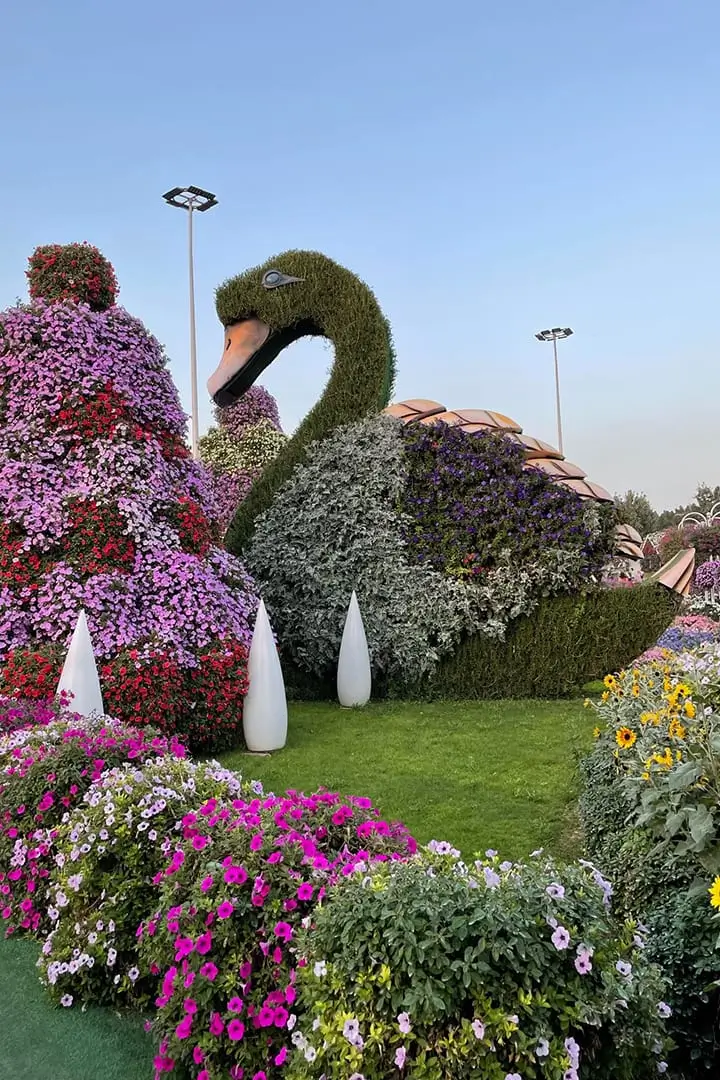 باغ پروانه دبی